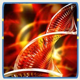 Dr. Gonzalez Stem Cell Treatment